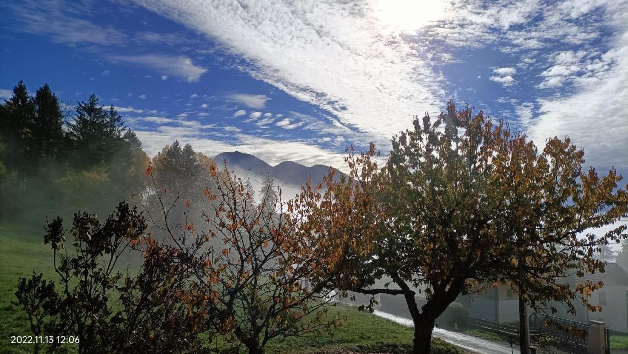 Gite Coeur De Haute-Savoie Viuz-en-Sallaz Exterior photo
